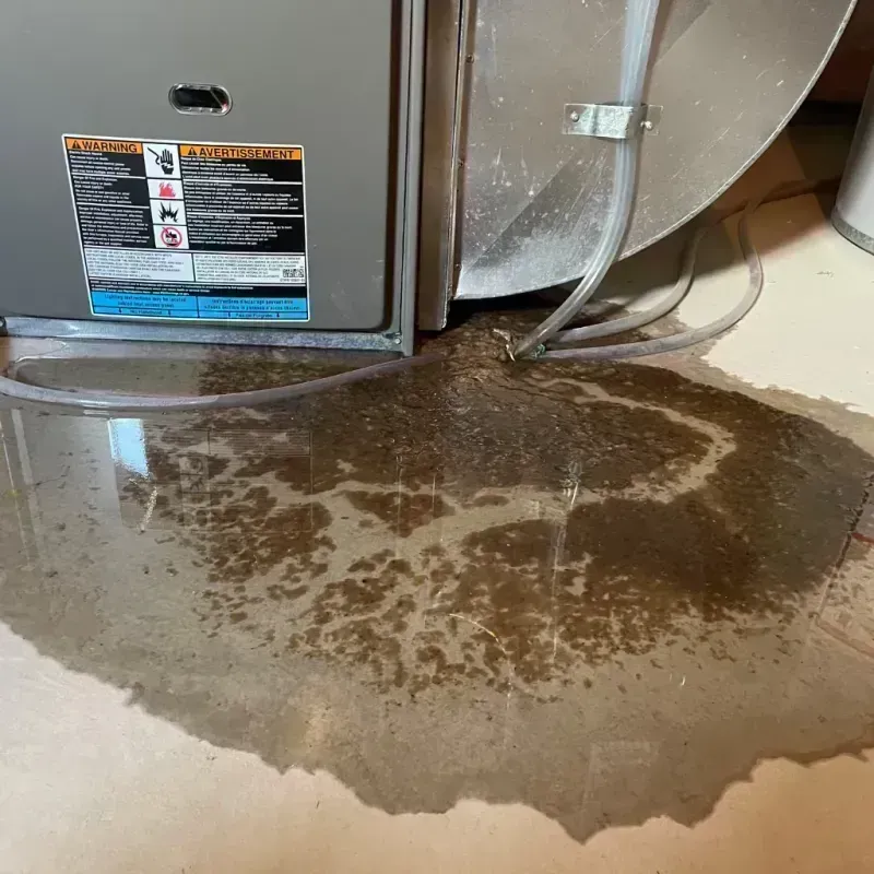 Appliance Leak Cleanup in Saint Francois County, MO